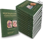 The Netter Collection of Medical Illustrations Complete Package (Netter Green Book Collection) 2nd Edición | بسته کامل مجموعه نتر از تصاویر پزشکی